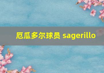 厄瓜多尔球员 sagerillo